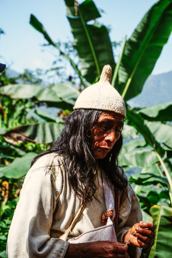 Mamo de la Sierra Nevada de Santa Marta