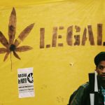 Montevideo: Marihuana legal